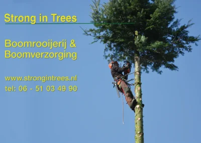 Doek Strong in trees boomrooijerij boomverzorging